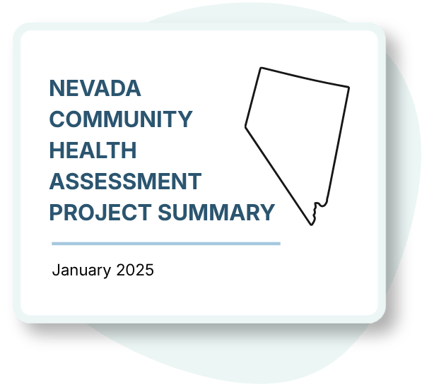 NV Project Summary